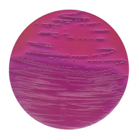 VRB AGAR